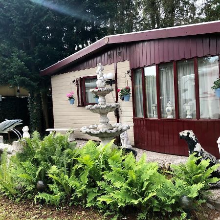 Retro Relax Resort Midden In Het Bos Op De Veluwe In Putten Ngoại thất bức ảnh