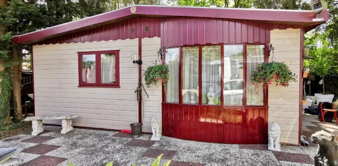Retro Relax Resort Midden In Het Bos Op De Veluwe In Putten Ngoại thất bức ảnh