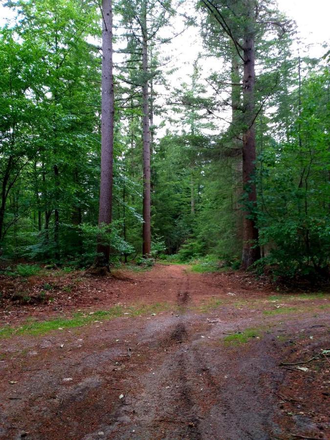 Retro Relax Resort Midden In Het Bos Op De Veluwe In Putten Ngoại thất bức ảnh